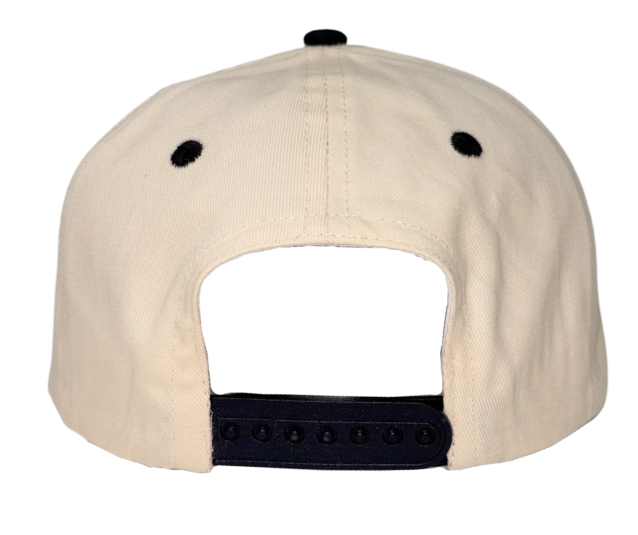 Jones Set the Tone Snapback in Black — back view